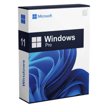 Windows 11 Pro incl. volledige installatie