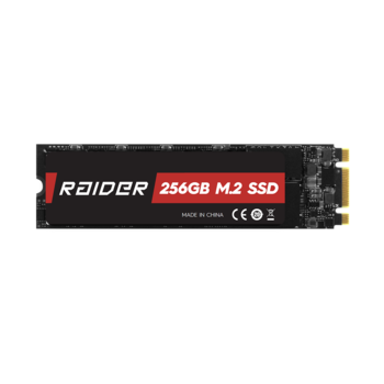 SSD M.2 256GB RAIDER PRO GAMING